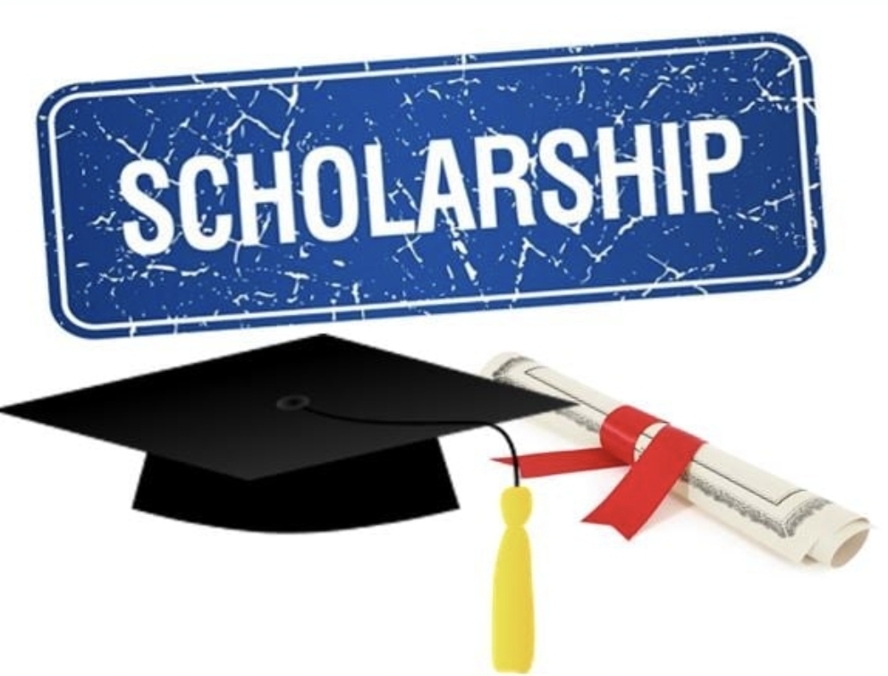 Call for application 25 scholarships LINAFI